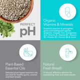 Fresh Mint Travel Collection