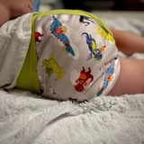 Pull-On Diaper - Dragon Dreams