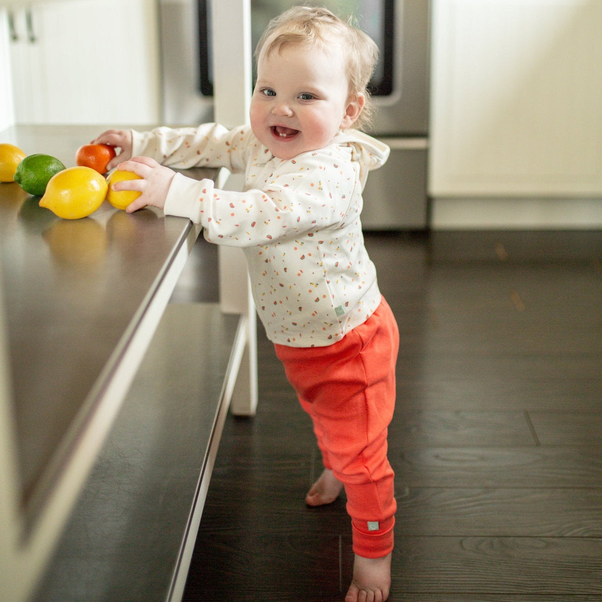 hoodie | tutti frutti