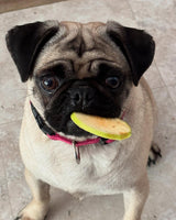 Dog Chips- Apple Chips - Large Bag