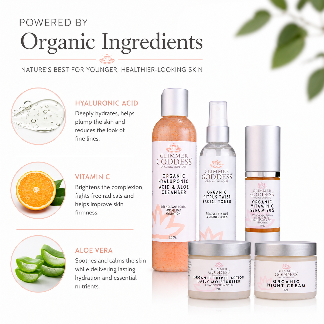 Organic Anti-Wrinkle Solution 5 PC Kit