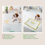 Pee Pads for Dogs