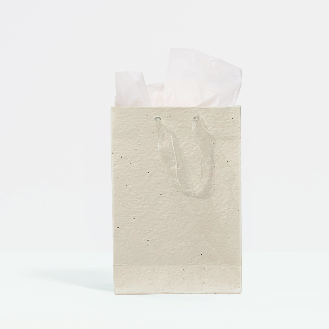 Plant & Grow Gift Bag (Handmade Seed Paper + Ribbon Handles)