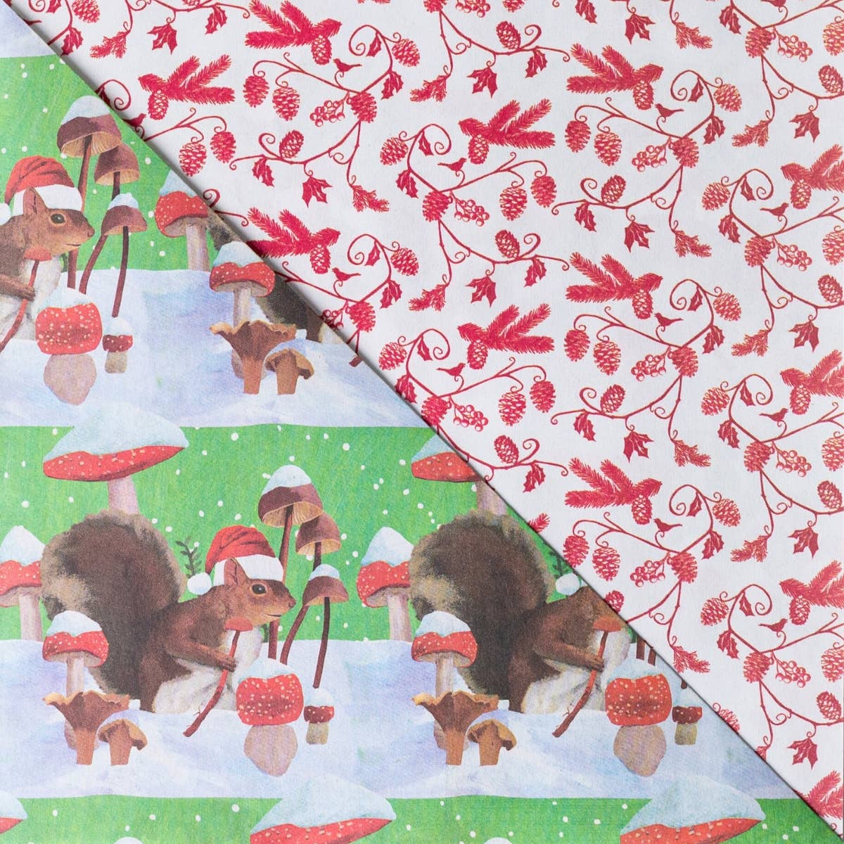 Squirrel + Mushrooms • Double-Sided Eco Wrapping Paper