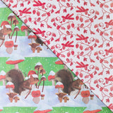 Squirrel + Mushrooms • Double-Sided Eco Wrapping Paper