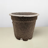 Cow Pot