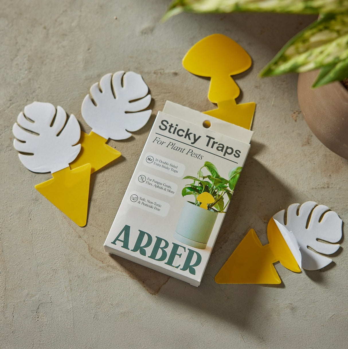 Sticky Traps for Plant Pests