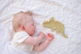 Triceratops Organic Crinkle Toy