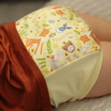 Nighttime Trainer - Deer Friends