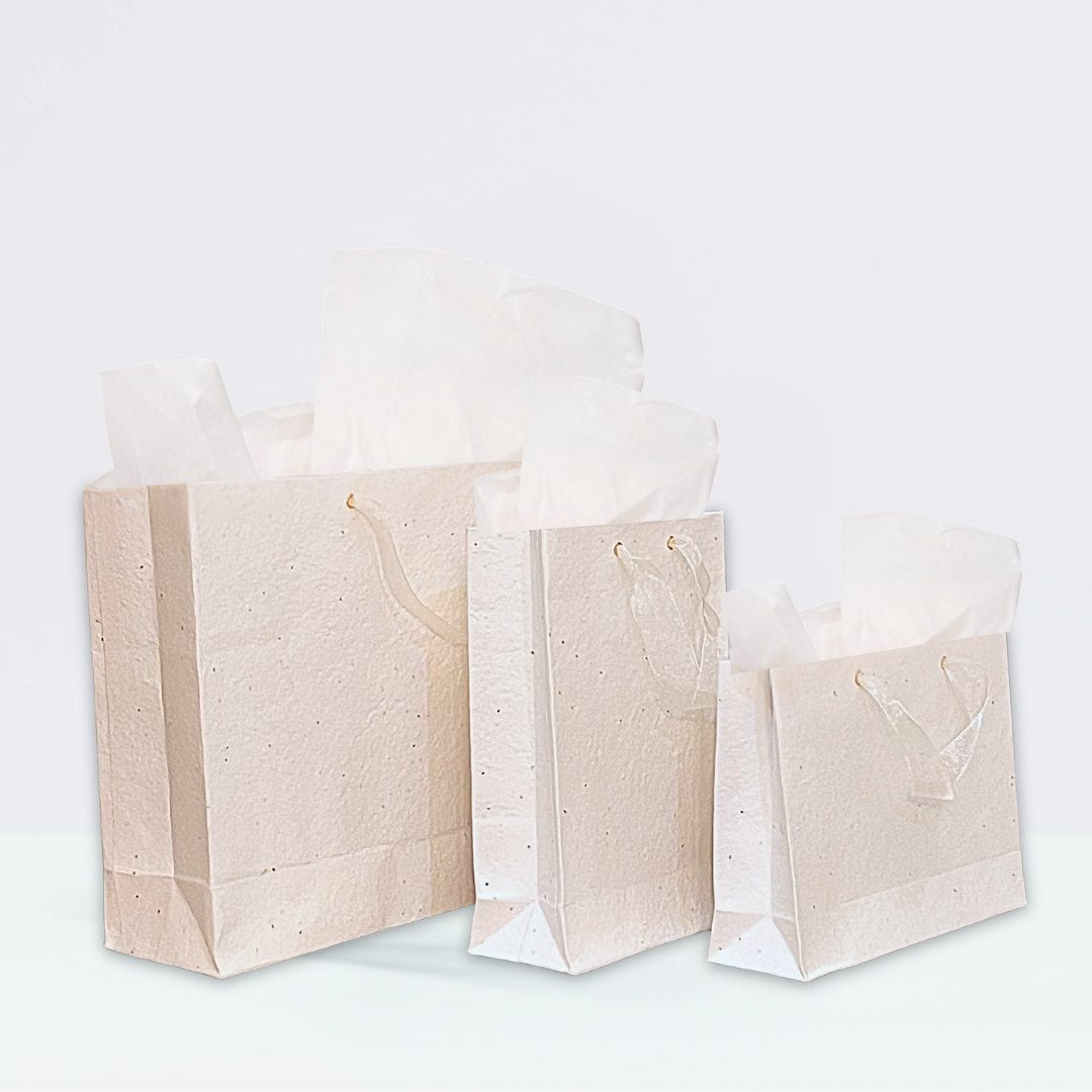 Plant & Grow Gift Bag (Handmade Seed Paper + Ribbon Handles)