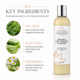 Organic Acne Cleanser with Hemp Seed Oil
