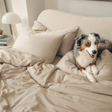 Organic Bamboo Sateen Bed Sheet Set