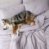 Organic Bamboo Sateen Bed Sheet Set