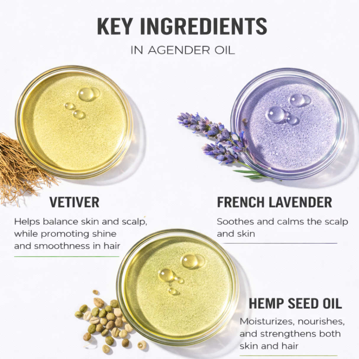 AGENDER OIL // ANYWHERE HAIR + BODY