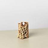 Cholla Wood