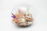 Large Glass Terrarium with 2 Open Ends