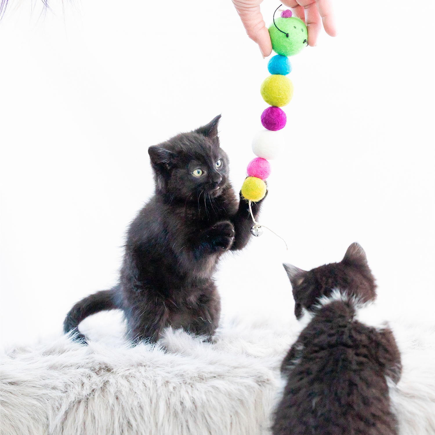 ECO-CATTY PILLAR