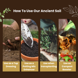 Ancient Soil: Organic Living Soil