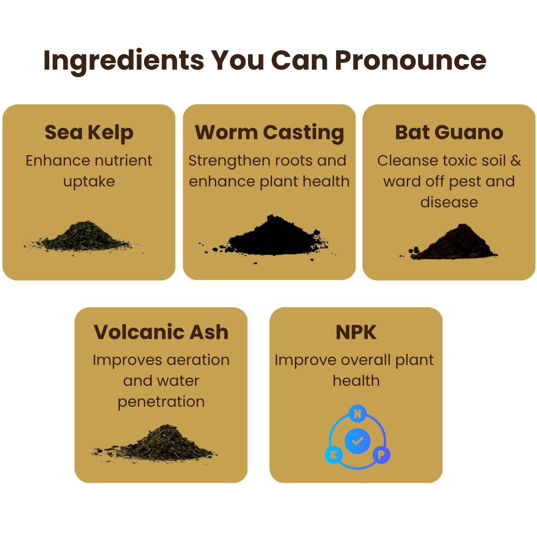 Ancient Soil: Organic Living Soil