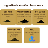 Ancient Soil: Organic Living Soil