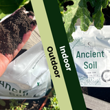 Ancient Soil: Organic Living Soil