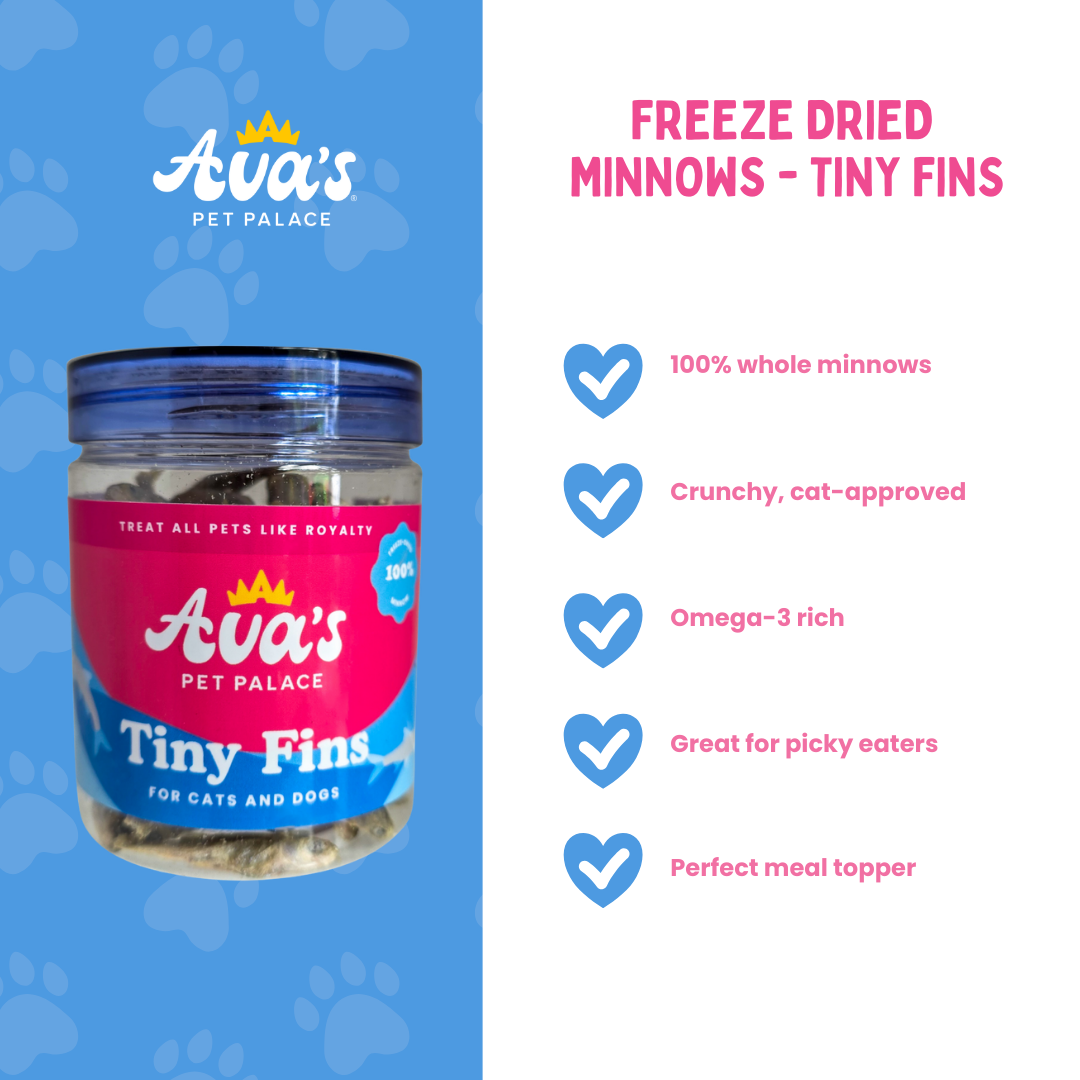 Freeze Dried Minnows - Tiny Fins