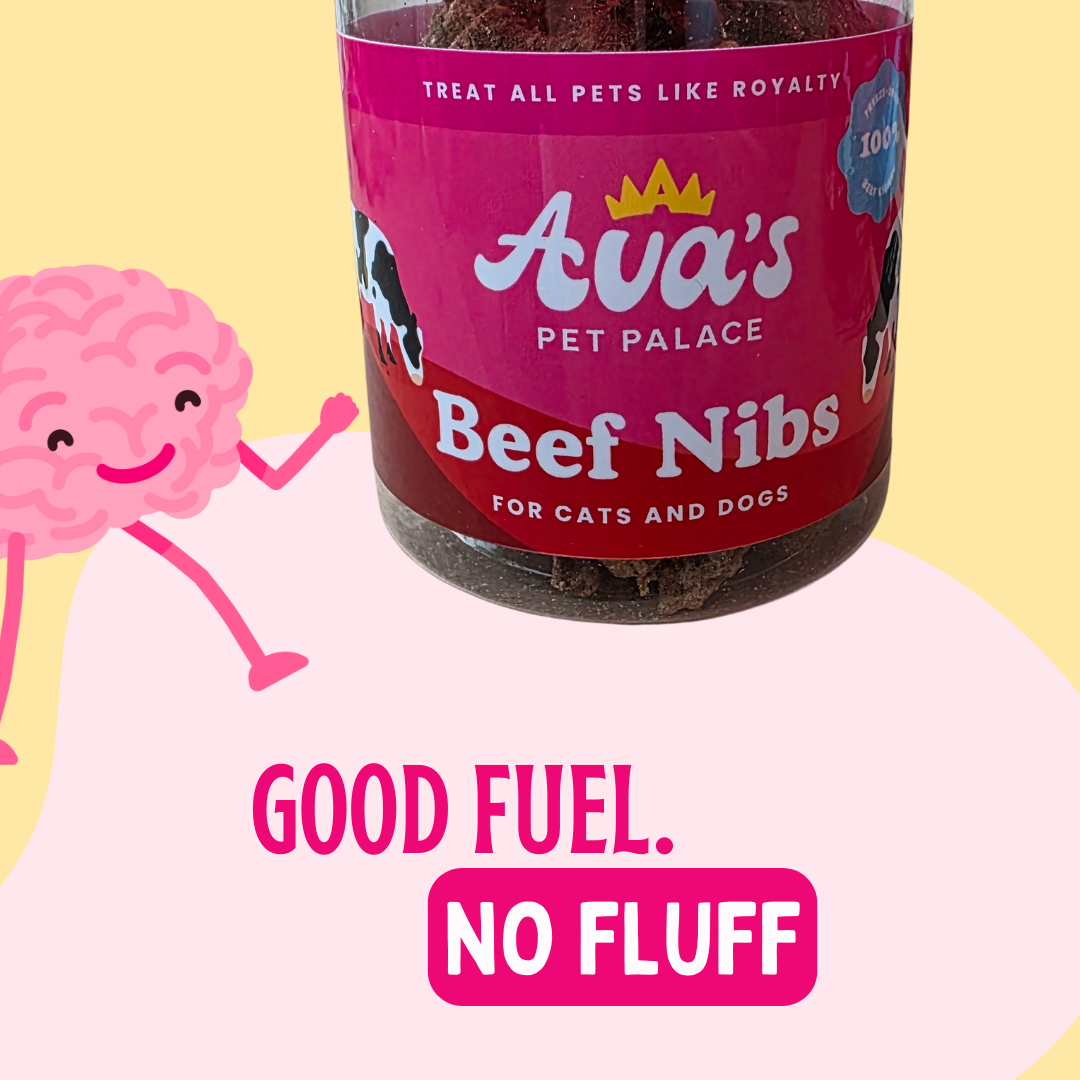 Freeze Dried Beef Kidney - Beef Nibs