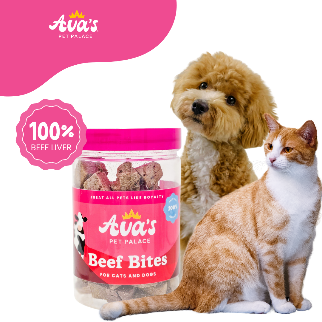 Freeze Dried Beef Liver - Beef Bites