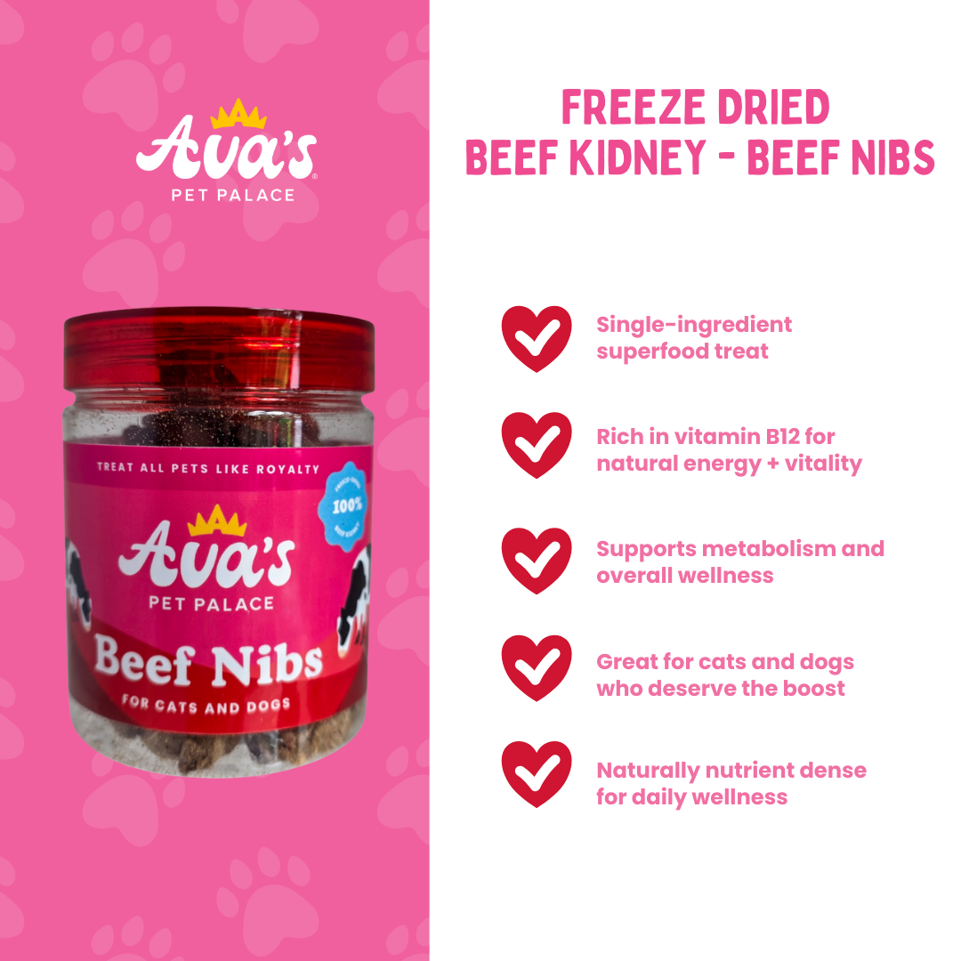 Freeze Dried Beef Kidney - Beef Nibs