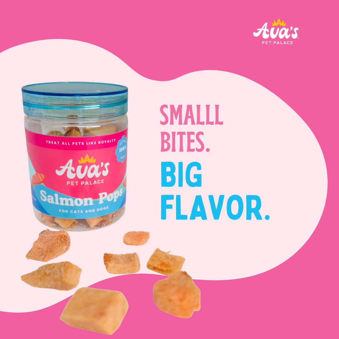 Freeze Dried Salmon - Salmon Pops