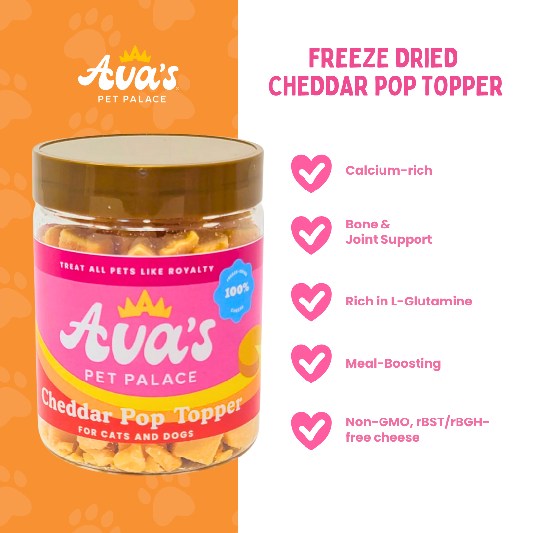 Freeze Dried Cheddar Pop Topper