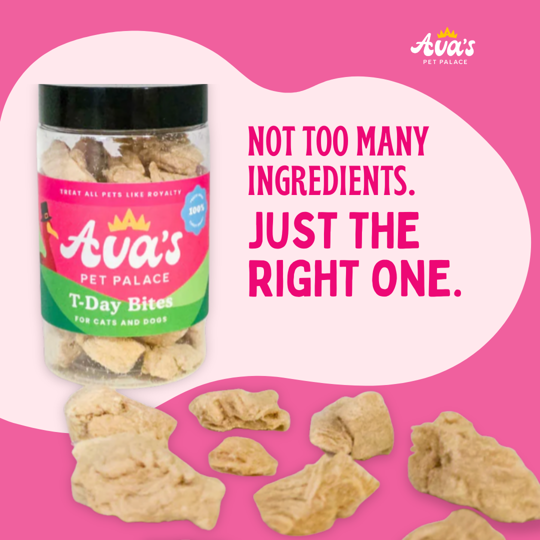 Freeze Dried T-Day Bites - Turkey Breast