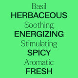 Basil Linalool Essential Oil