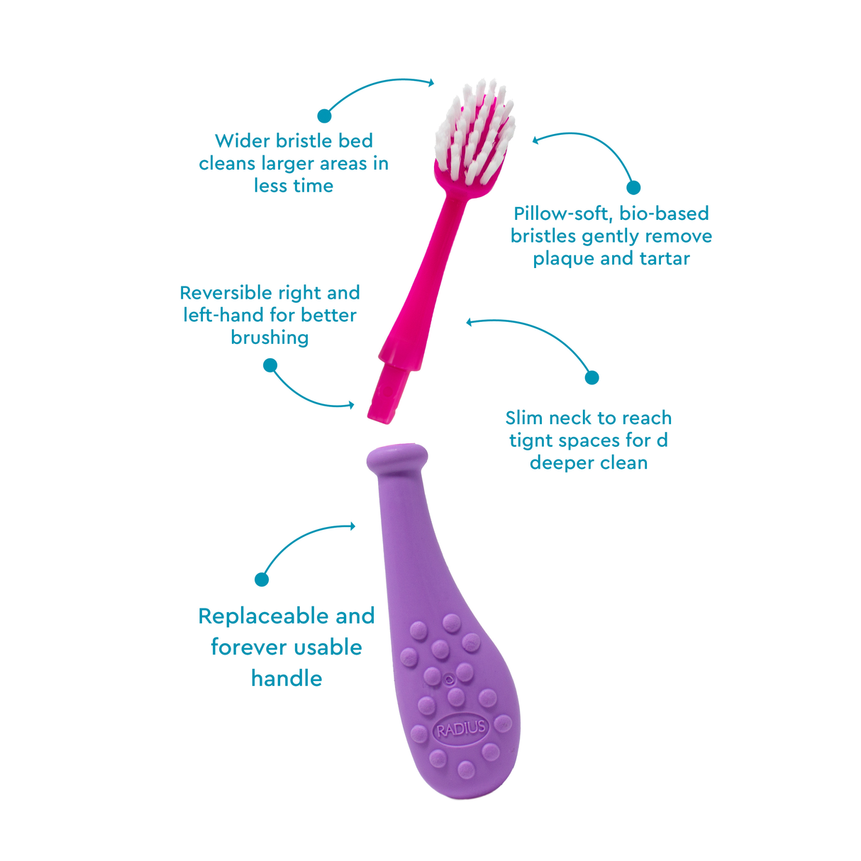 Big Kidz® Replaceable Head Forever Brush® (6yrs+)