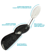 Big Brush with Replaceable Head