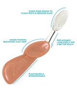 Big Brush with Replaceable Head