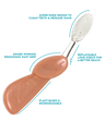 Big Brush with Replaceable Head