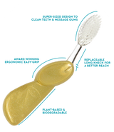 Big Brush with Replaceable Head