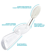 Big Brush with Replaceable Head