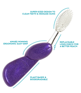 Big Brush with Replaceable Head