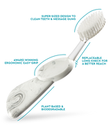 Big Brush with Replaceable Head