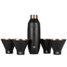 Stainless Steel Cocktail Shaker and Martini Glass Set, Black