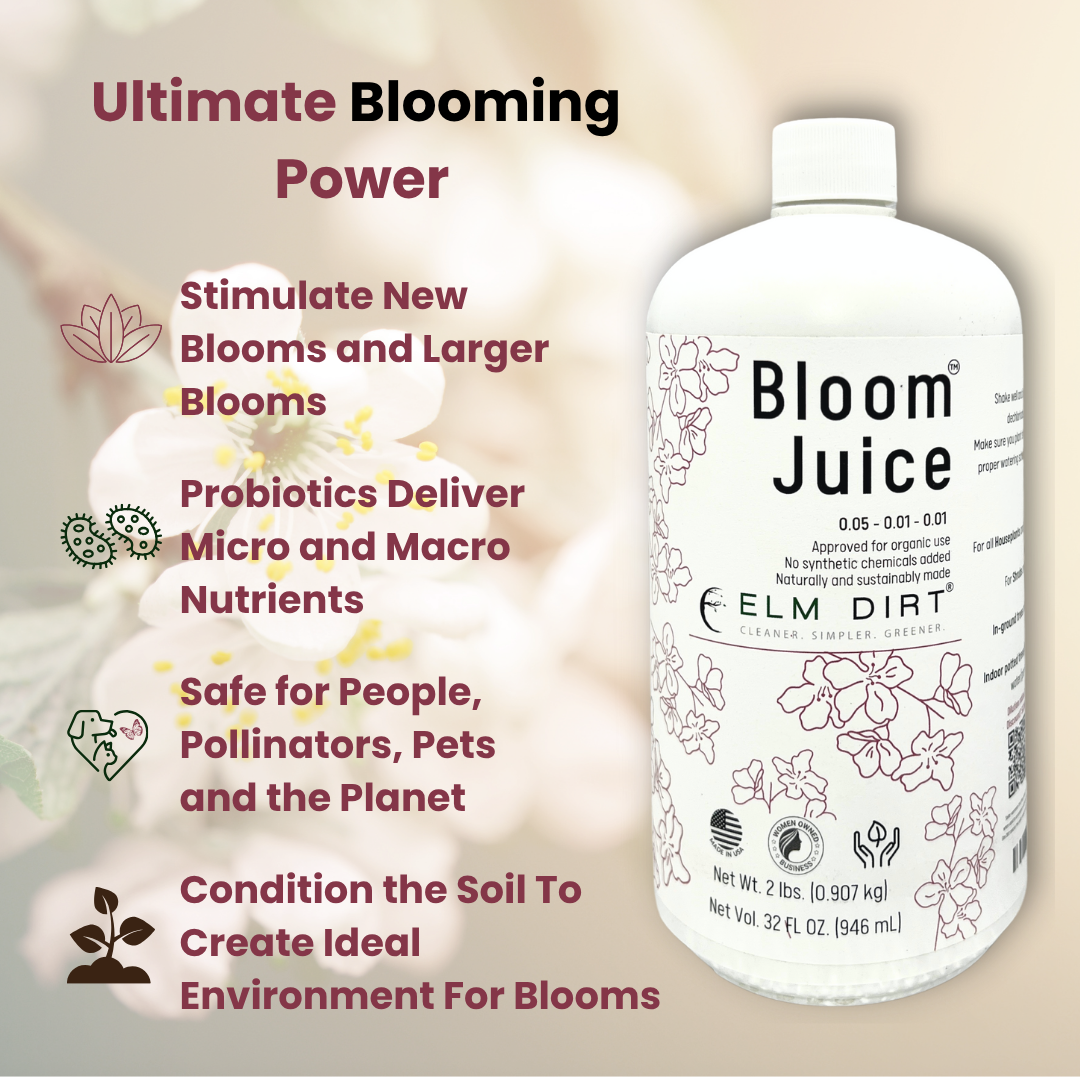 Bloom Juice - Award-Winning Formula