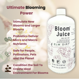 Bloom Juice - Award-Winning Formula