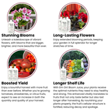 Bloom Juice - Award-Winning Formula