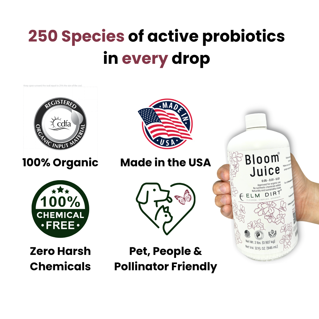 Bloom Juice - Award-Winning Formula