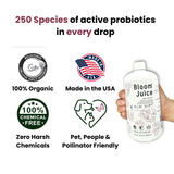 Bloom Juice - Award-Winning Formula