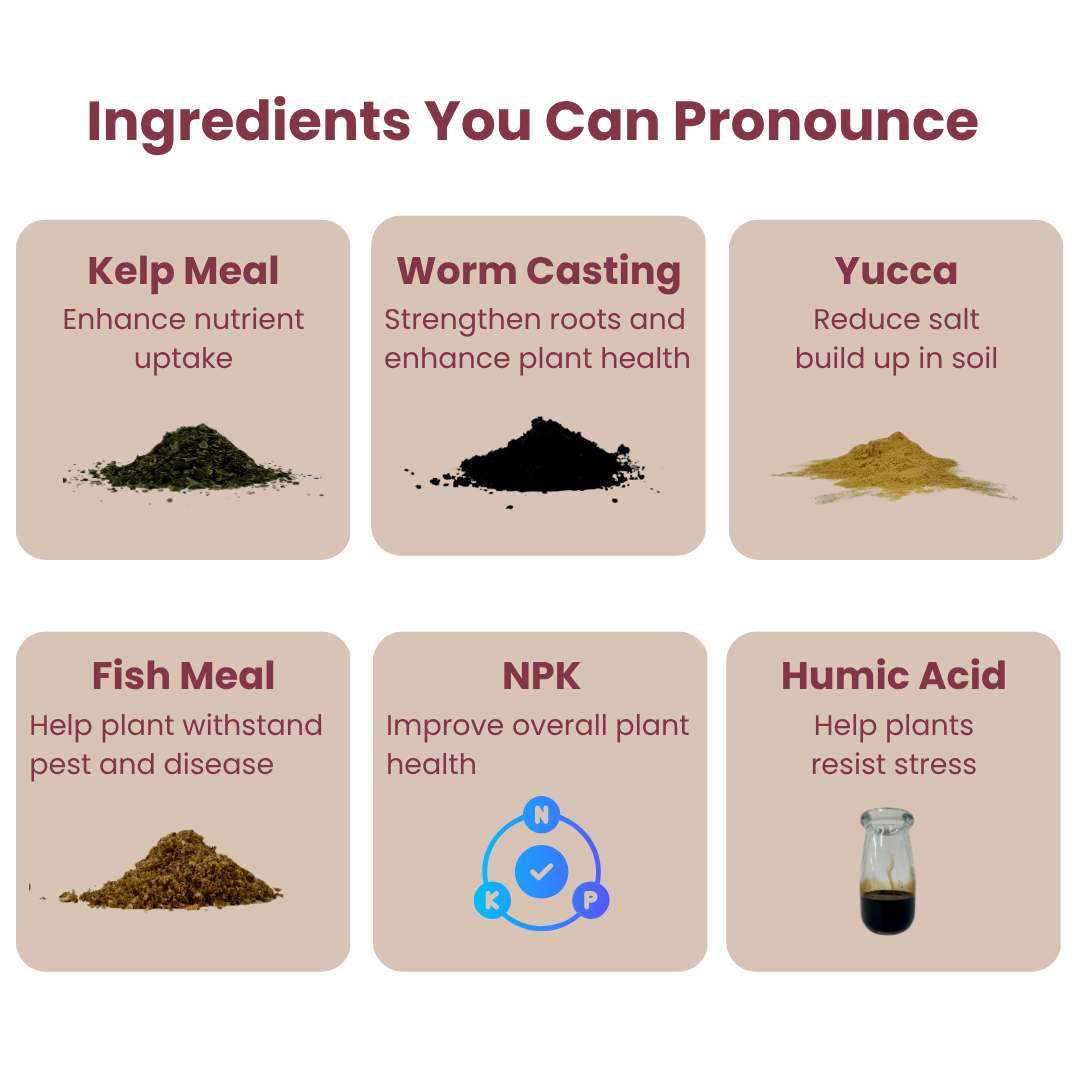 Bloom Juice - Award-Winning Formula