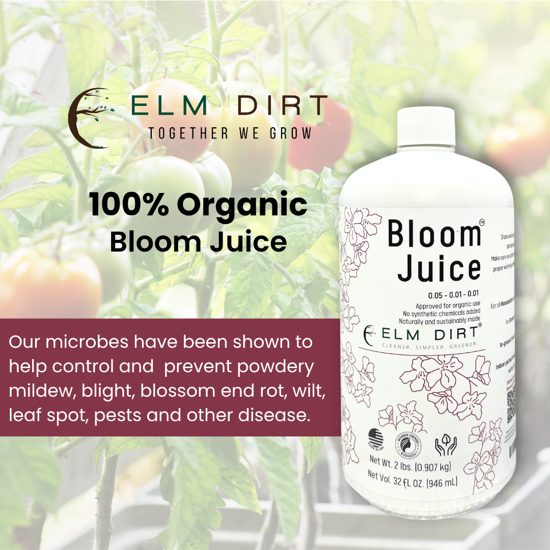 Bloom Juice - Award-Winning Formula