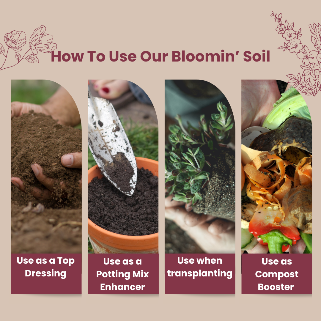 Bloomin' Soil - Organic Flower Booster for Bigger, Longer-Lasting Blooms